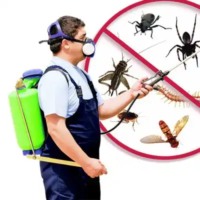 pest control Salamanca